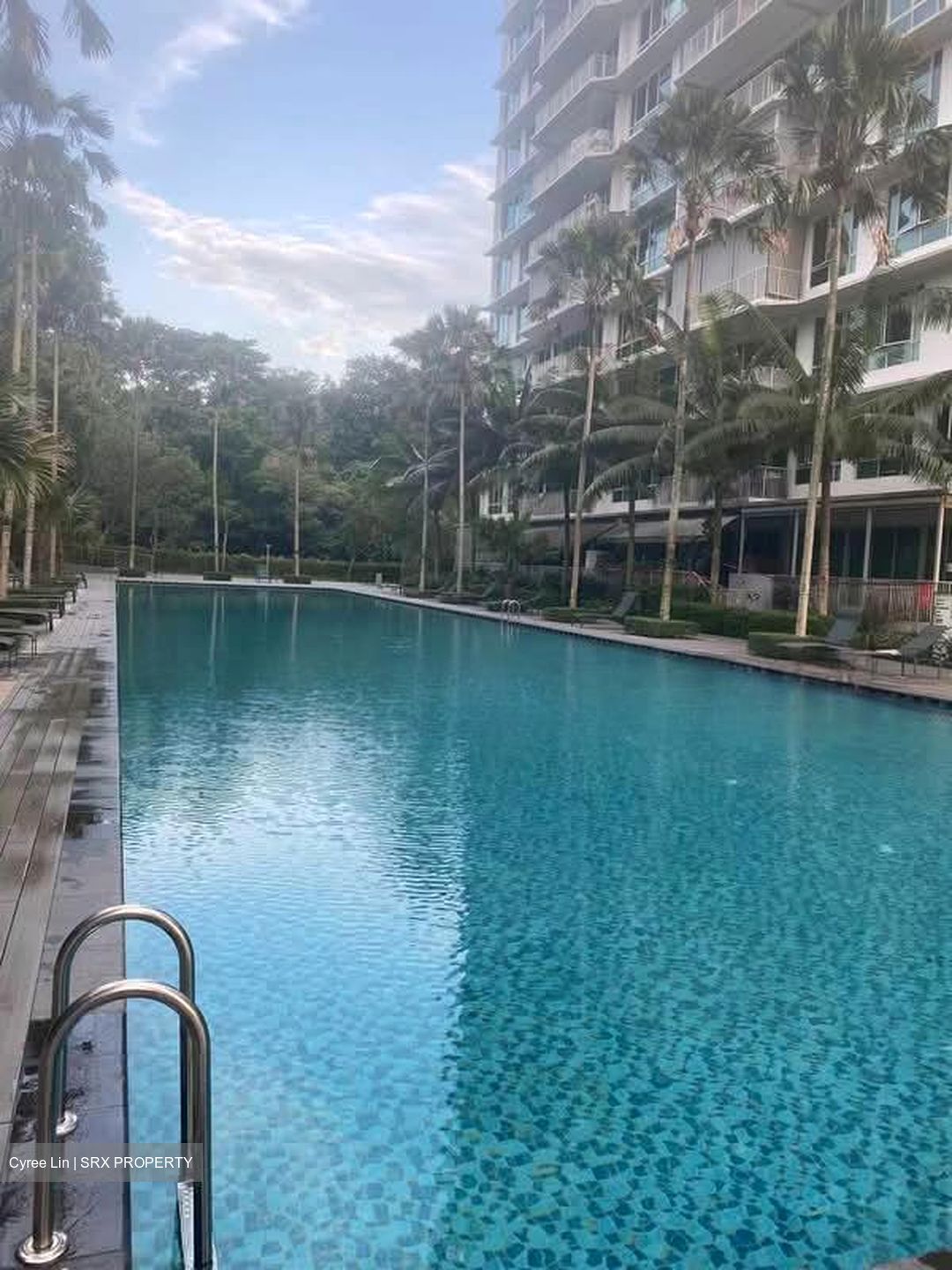 Tree House (D23), Condominium #558104741